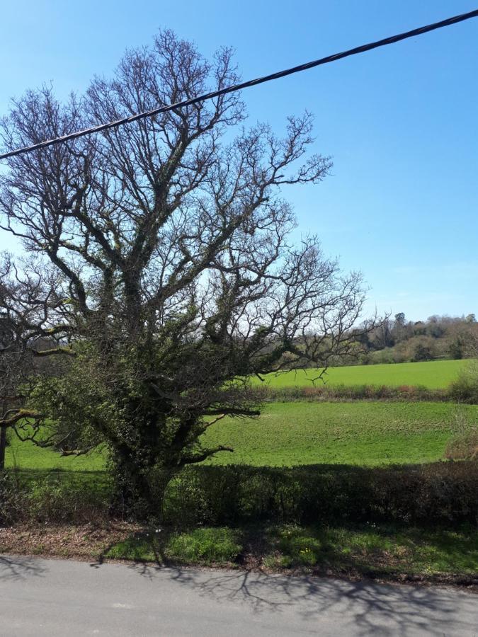 Court Barn Cottage B&B Burwash Bagian luar foto