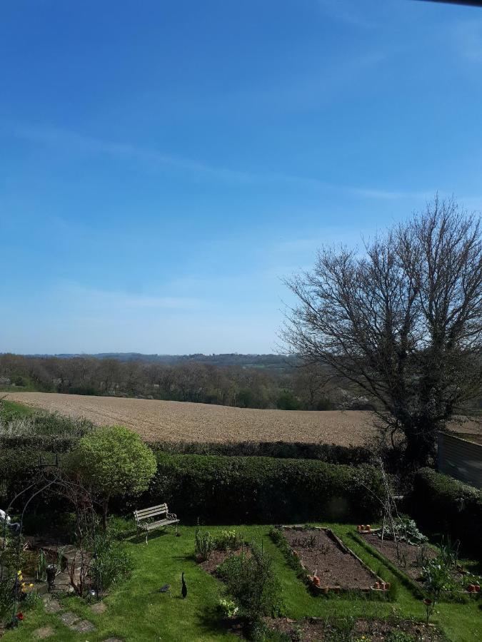 Court Barn Cottage B&B Burwash Bagian luar foto